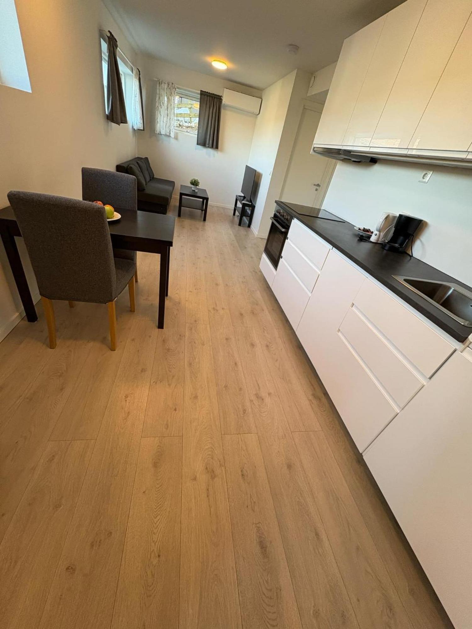 Temis Apartment, Private New 1 Bed Room And 1 Living Room With Sofa Bad And Lagre Kitchen, Share With Nobody 奥斯陆 外观 照片